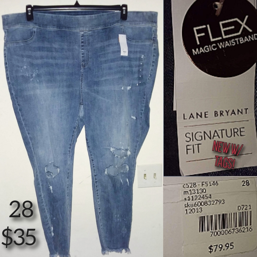 Lane Bryant Distressed Jeggings